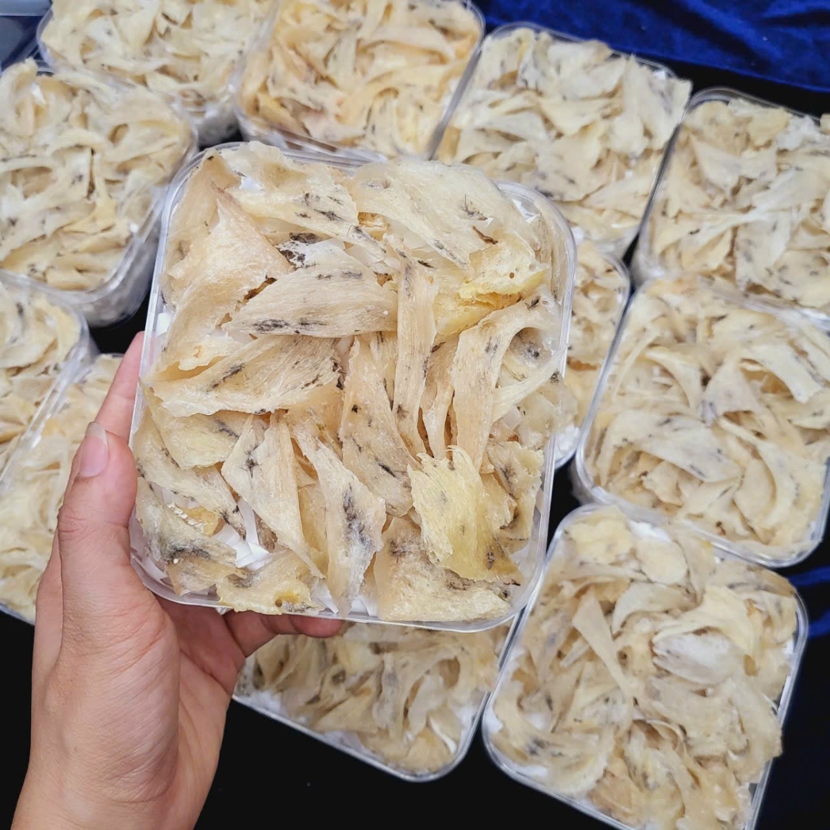 Chân yến thô còn lông 100gr 
