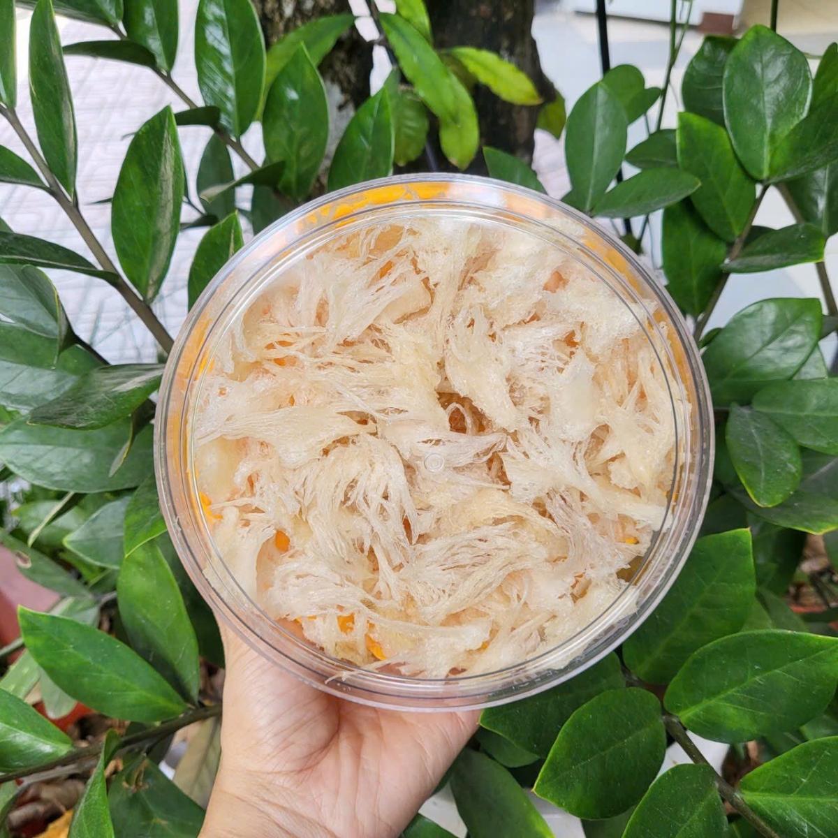 Chân yến thô rút lông 50gr