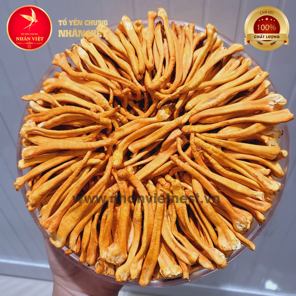 Đông Trùng Hạ Thảo Sấy Thăng Hoa LOẠI 1 THƯỢNG HẠNG - Hũ 50Gr