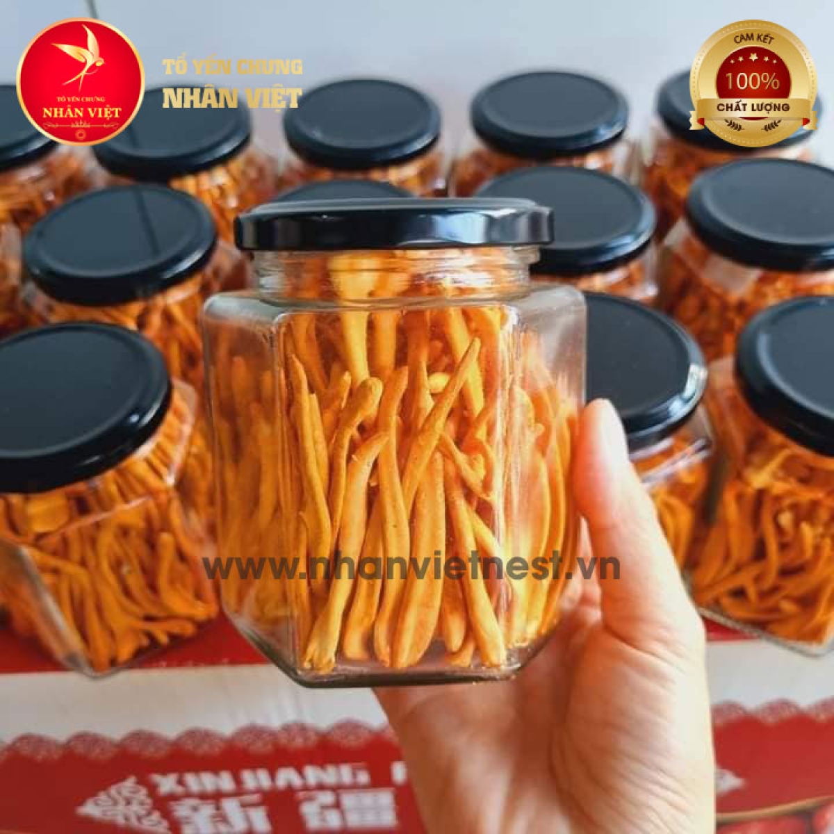 Đông Trùng Hạ Thảo Sấy Thăng Hoa LOẠI 1 THƯỢNG HẠNG - Hũ 20Gr