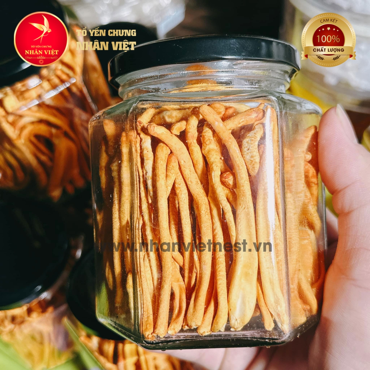 Đông Trùng Hạ Thảo Sấy Thăng Hoa LOẠI 1 THƯỢNG HẠNG - Hũ 10Gr