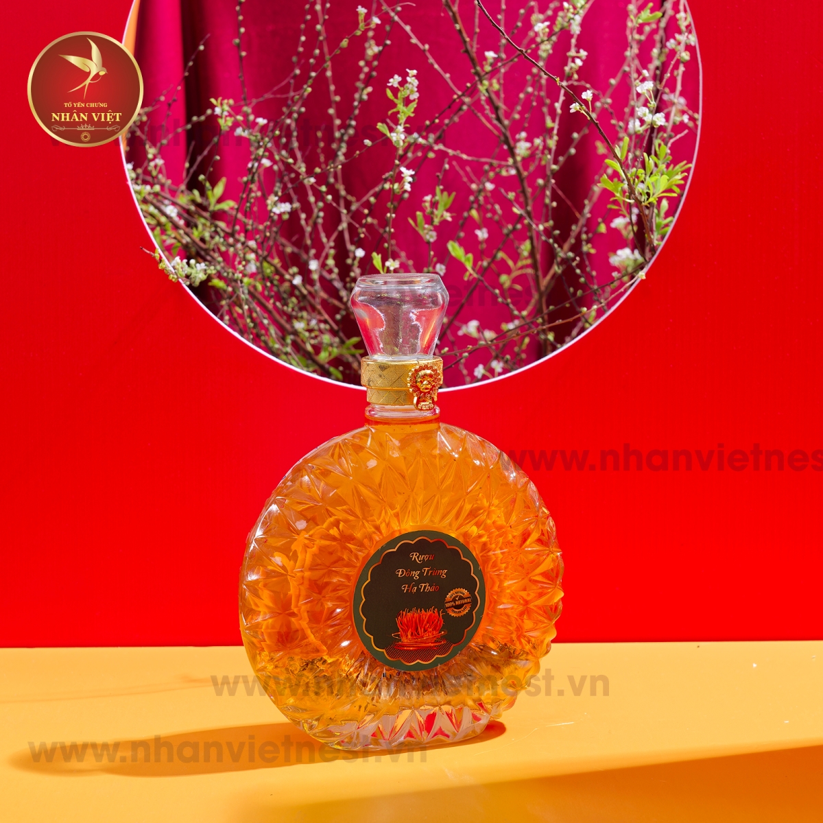 Rượu Đông Trùng Hạ Thảo 500ml Kèm Hộp