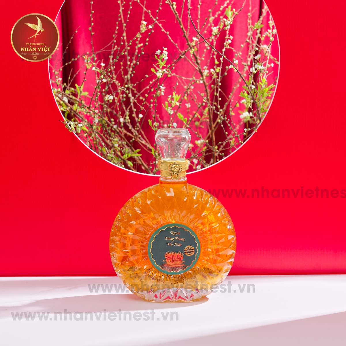 Rượu Đông Trùng Hạ Thảo 500ml Kèm Hộp