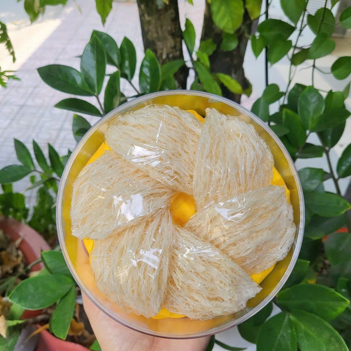 Tổ Yến Tinh Chế Loại 1 - 50gr