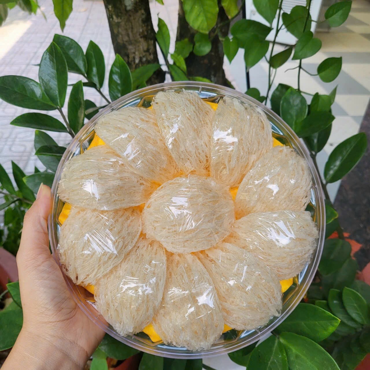 Tổ Yến Tinh Chế Loại 1 - 100gr