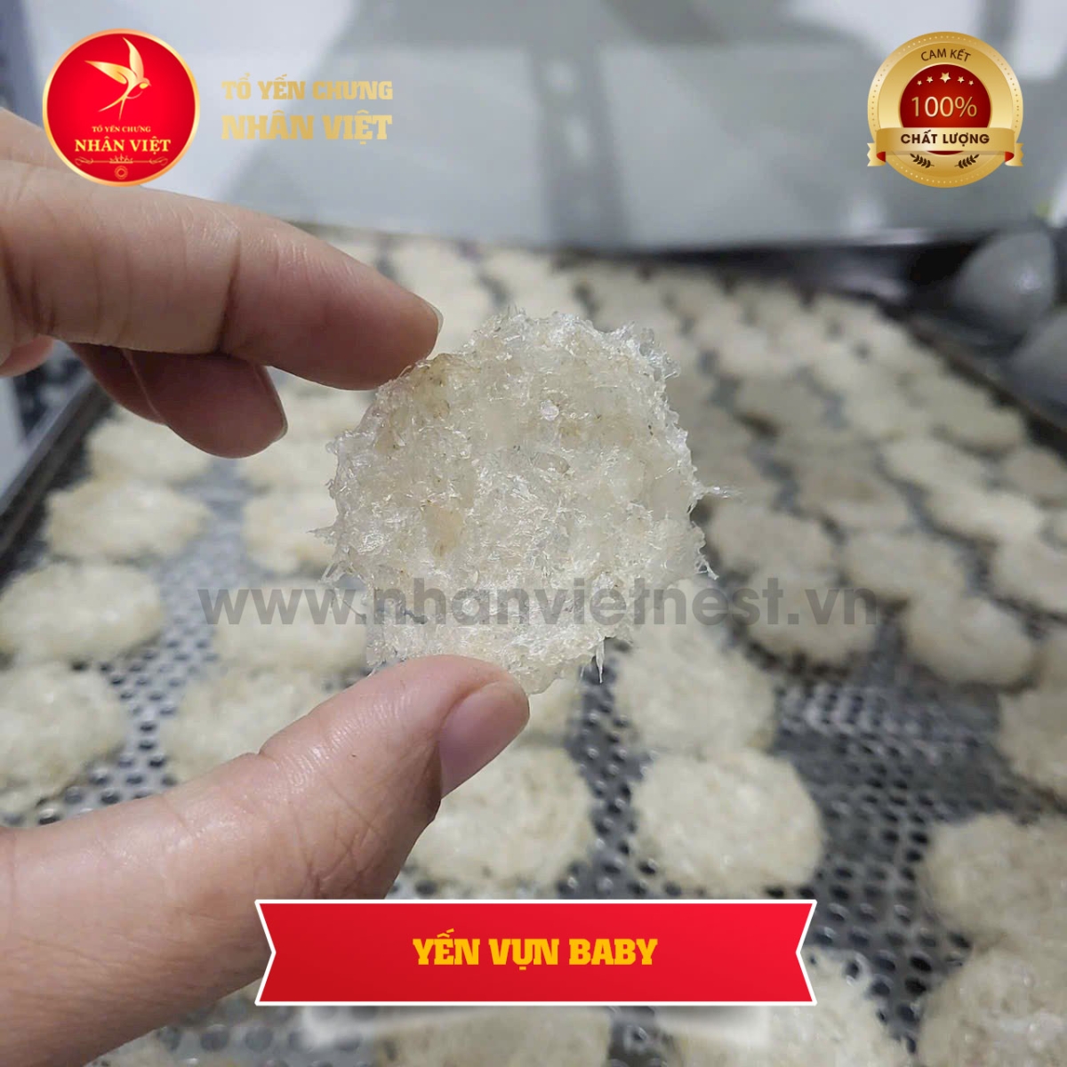 Tổ Yến Vụn Baby 100gr