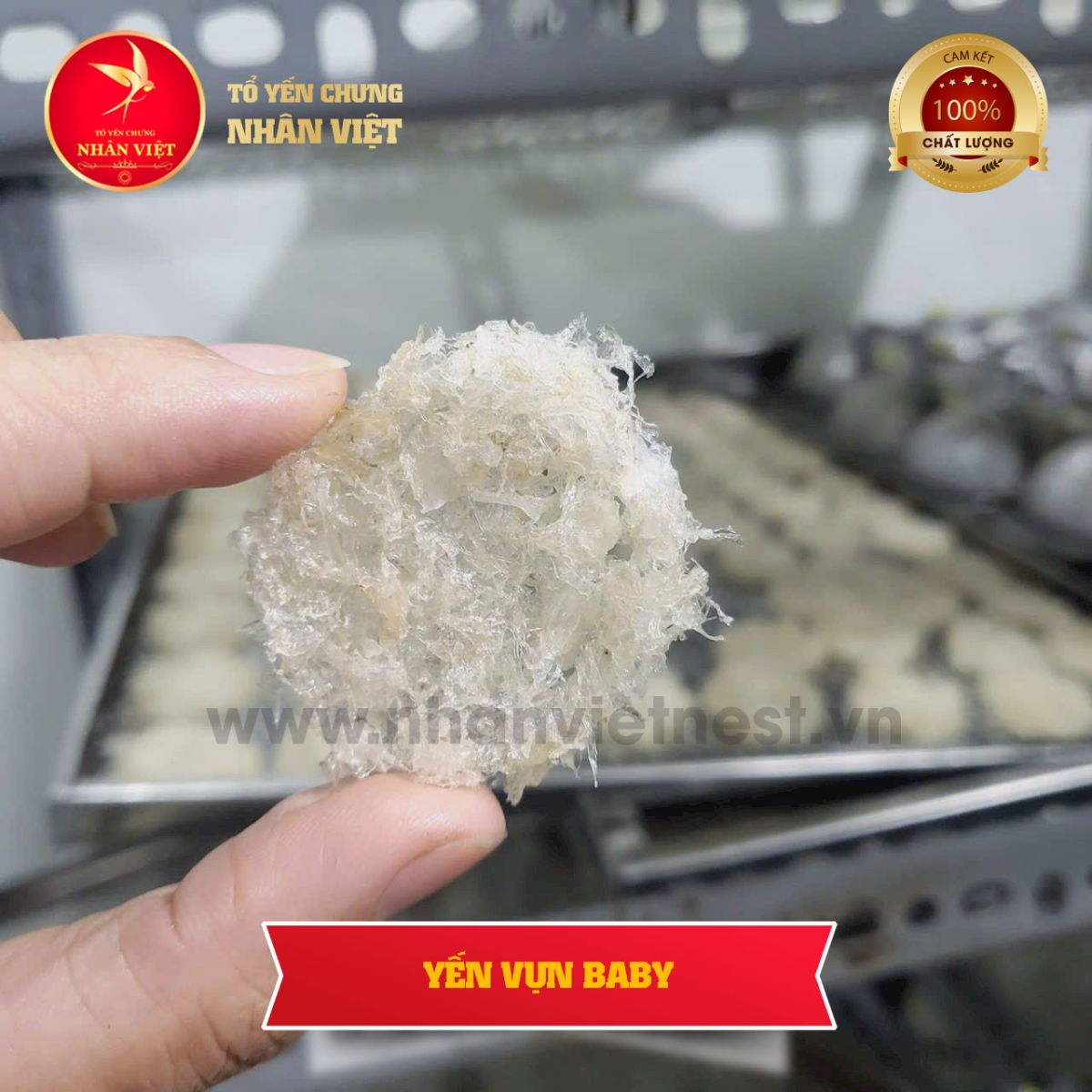 Tổ Yến Vụn Baby 100gr